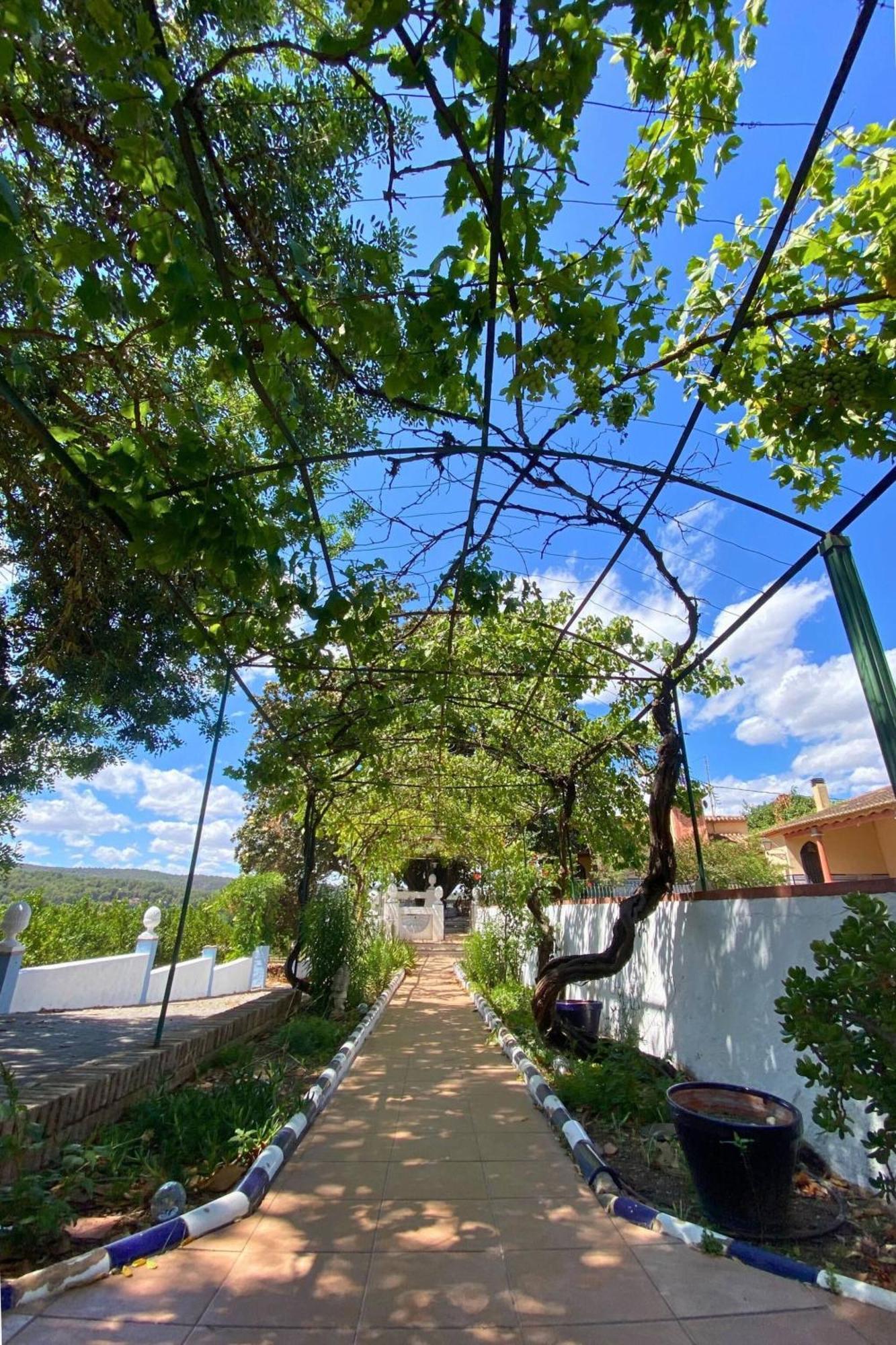 Casa Magnolia, A Rural Paradise House With Pool Alzira Bagian luar foto