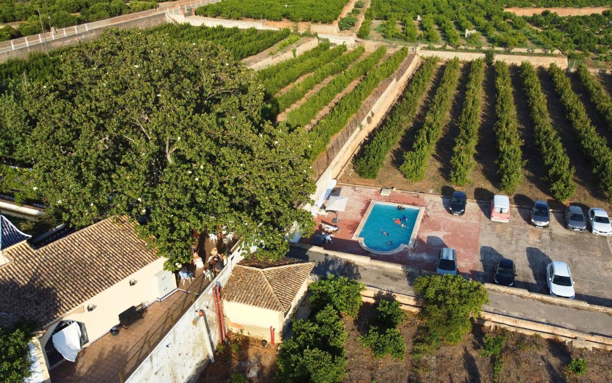 Casa Magnolia, A Rural Paradise House With Pool Alzira Bagian luar foto