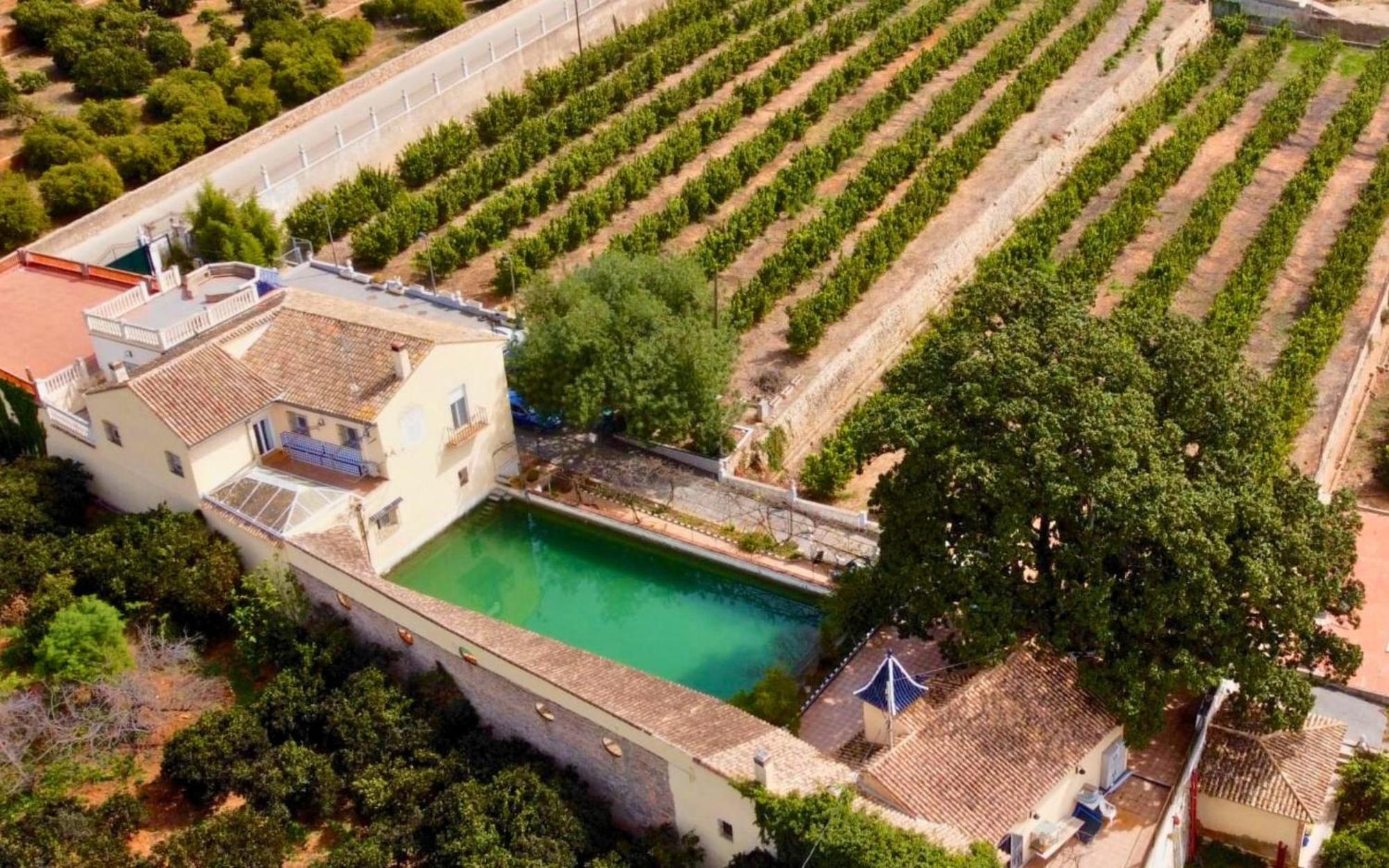 Casa Magnolia, A Rural Paradise House With Pool Alzira Bagian luar foto