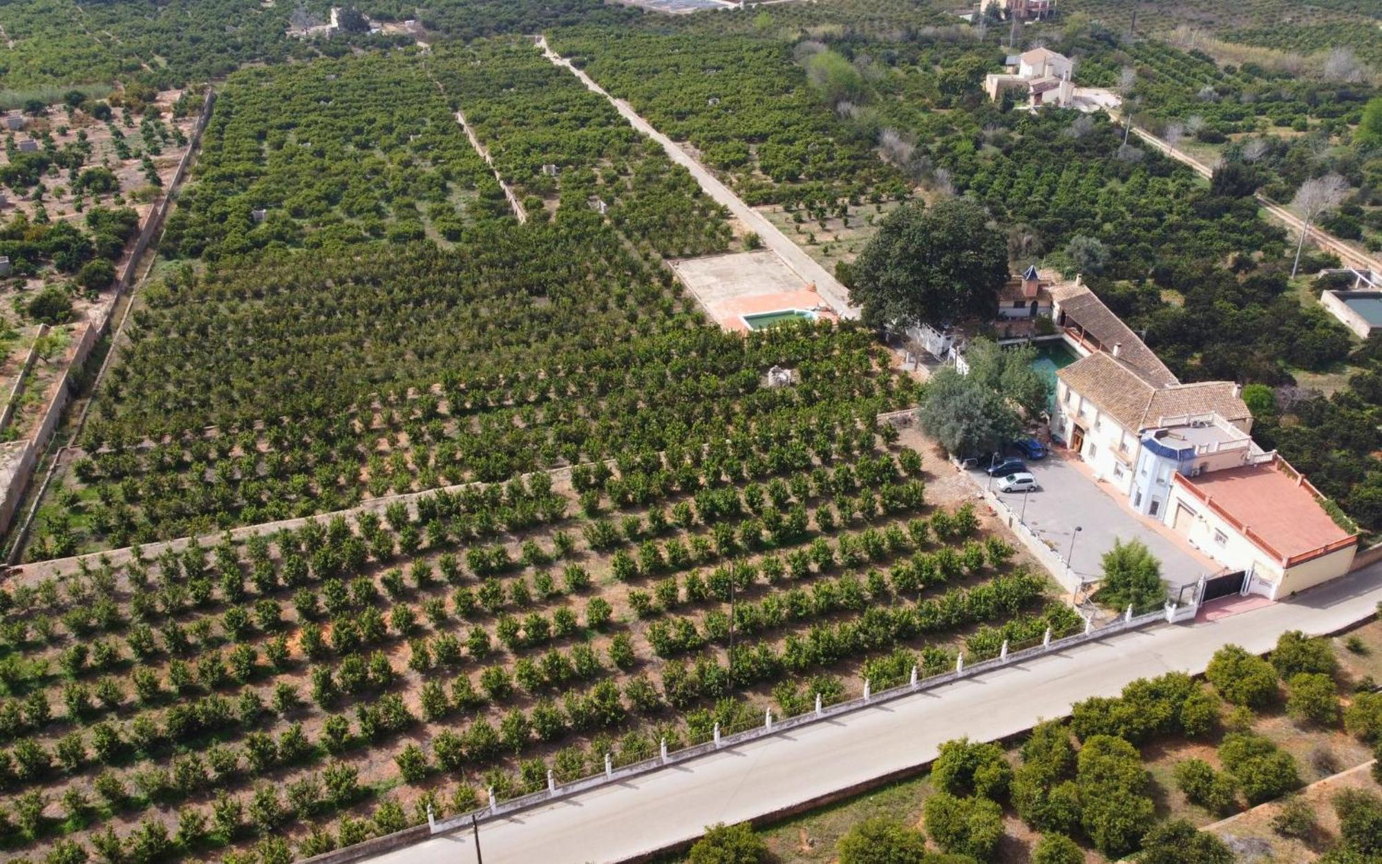 Casa Magnolia, A Rural Paradise House With Pool Alzira Bagian luar foto
