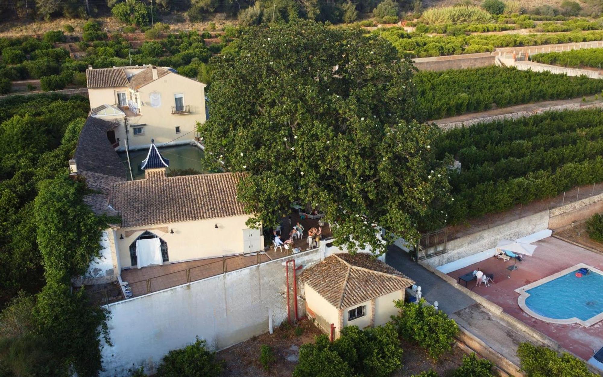 Casa Magnolia, A Rural Paradise House With Pool Alzira Bagian luar foto