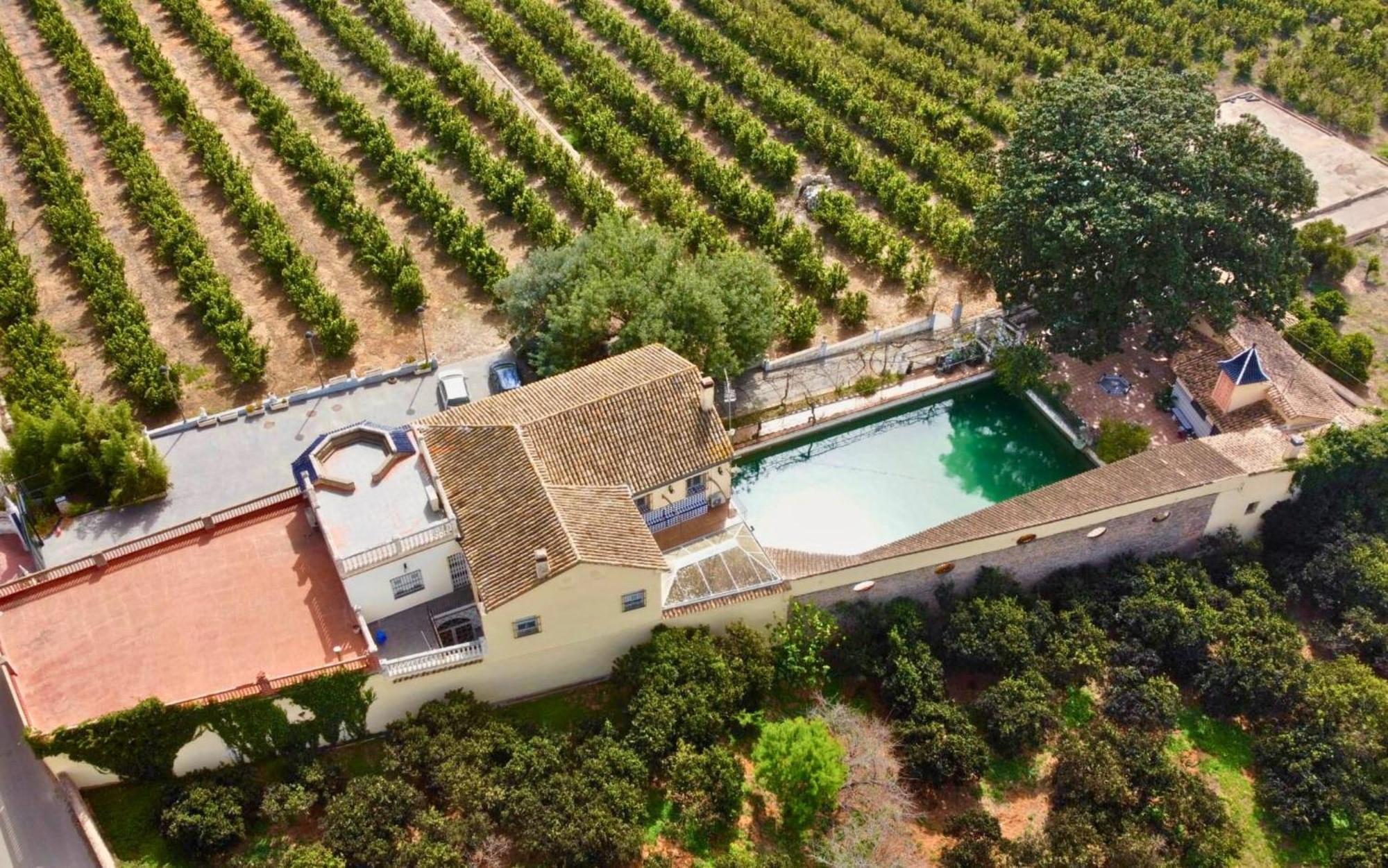 Casa Magnolia, A Rural Paradise House With Pool Alzira Bagian luar foto